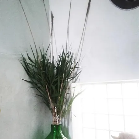 Hostel Vertigo Tirana