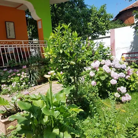 Hostel Green Hostel
