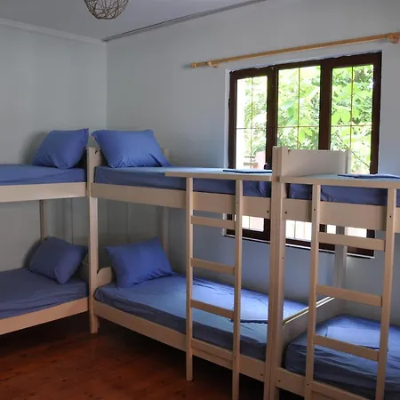 Green Hostel *